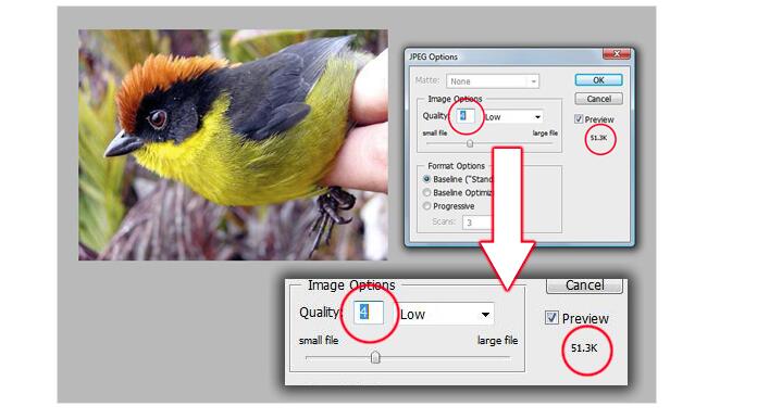 网页设计图片优化的五大技巧概述6~.jpg