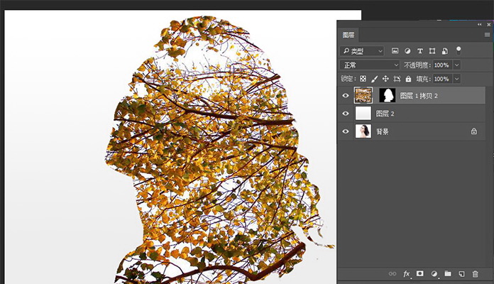 1558583223350243.jpg jc170427_8.jpg