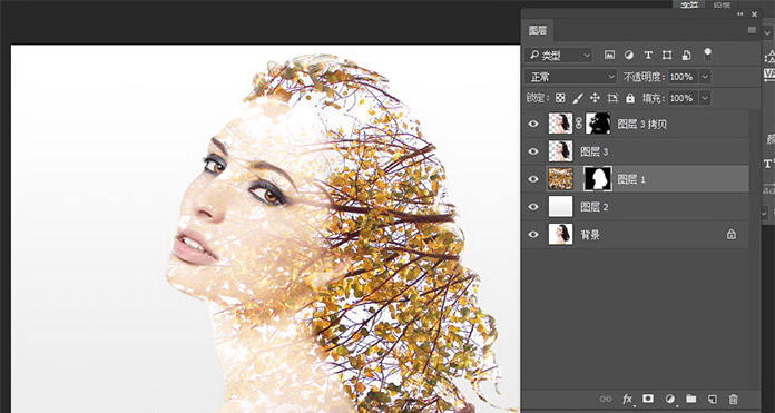 1558583243393272.jpg jc170427_10.jpg