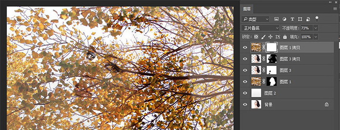 1558583267663685.jpg jc170427_12.jpg