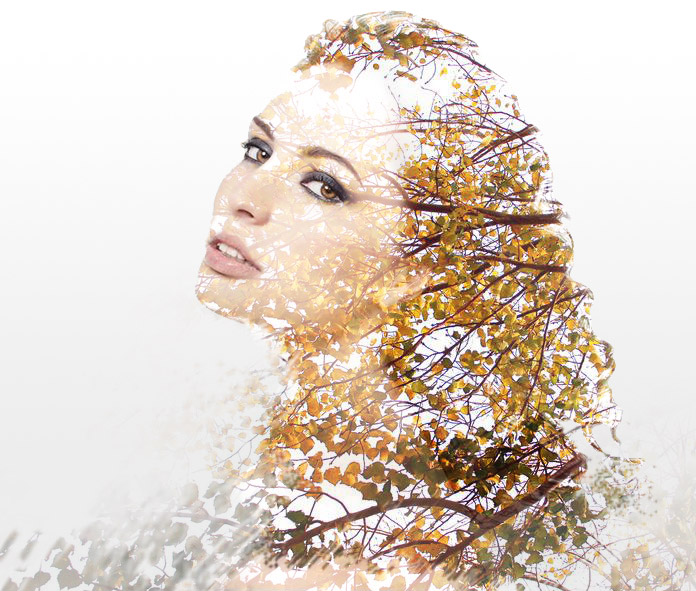 1558583288574565.jpg jc170427_13.jpg