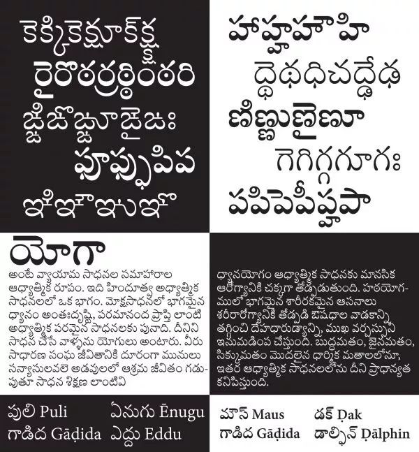 1563940853500988.jpeg pic_043.jpeg